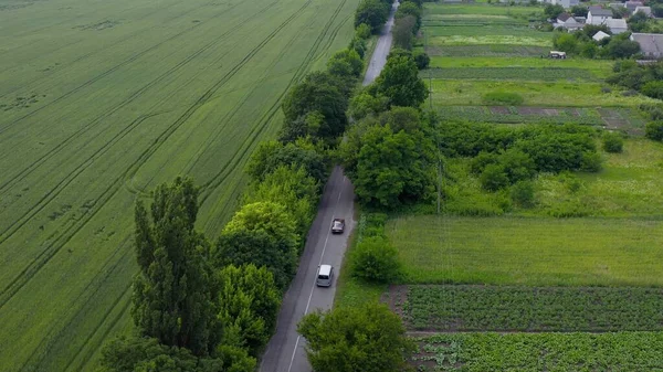  Retro arabalar ve modern minivanlar yazın seyahat ederler.
