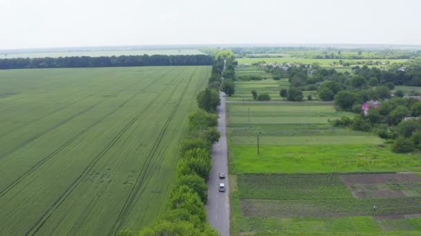 Retro-Autos und moderne Minivans fahren im Sommer — Stockvideo