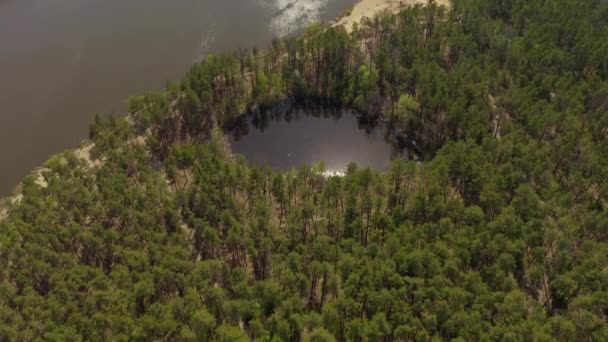 Lago rodeado por verde primavera forest.top vista de um lago misterioso — Vídeo de Stock