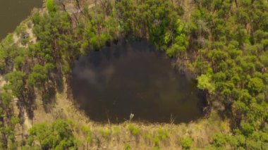  Etrafı yeşil bahar ormanlarıyla çevrili. Gizemli bir göl manzaralı.