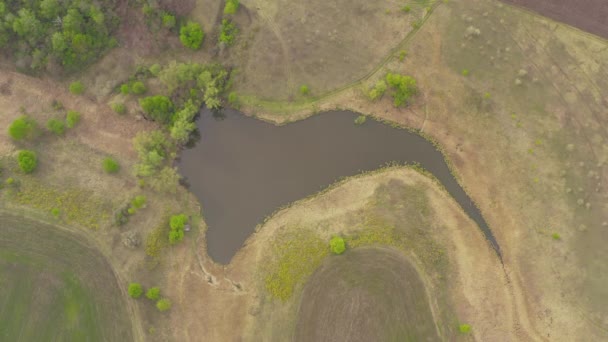 Top view of a mysterious lake, a strange place with unusual energy — Stock Video