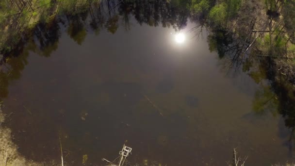 Lake surrounded by green spring forest.top view of a mysterious lake — стоковое видео