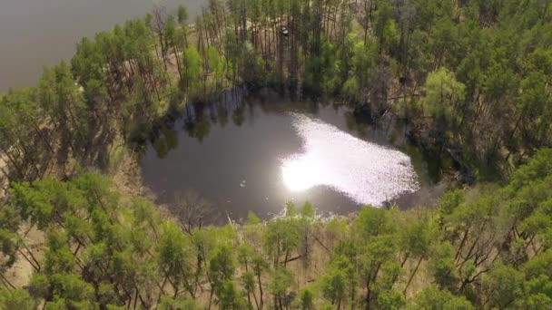 Озеро, оточене зеленим весняним лісом. вид зверху на таємниче озеро — стокове відео