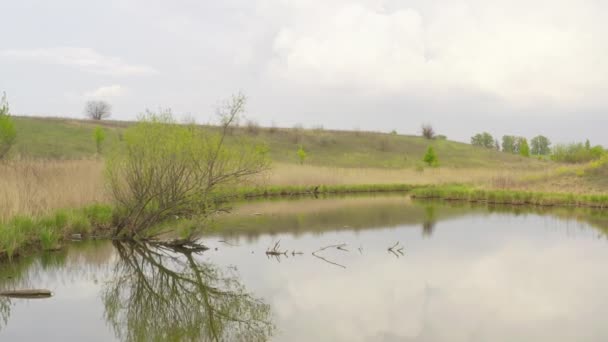 Misterioso lago, un lugar extraño con energía inusual — Vídeo de stock