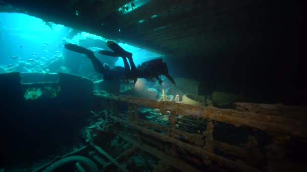 沈没船の貨物倉の中で泳いでいるスキューバダイバー — ストック動画
