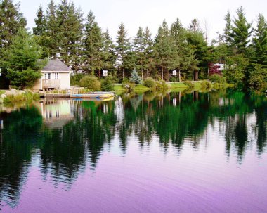 Kanada değişkenleri görüntüler de titrek