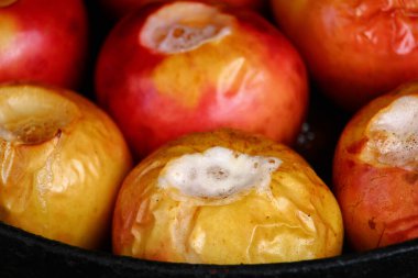 Ev mutfağındaki fırında elma pişirme işlemi.