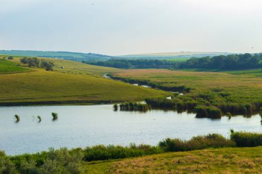 Tepedeki yeşil tarlalar.