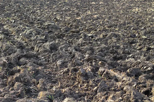 Champ Coulé Avec Sol Fertile Terre Noire — Photo