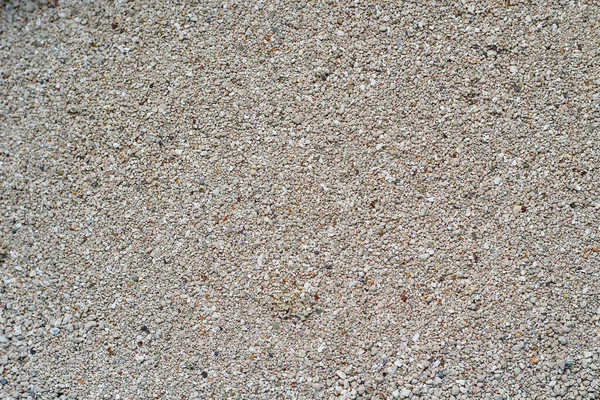 猫砂の質感クローズアップ — ストック写真
