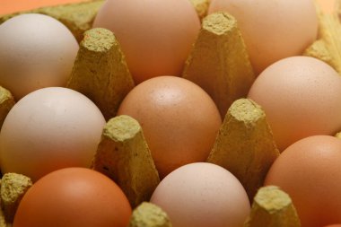 Çiftlik evi, tepside çevre dostu yumurtalar.