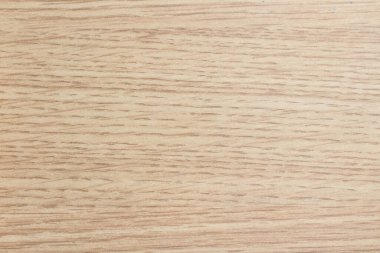 Güzel ağaç dokusu, boş arkaplan, meşe.