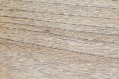 Güzel ağaç dokusu, boş arkaplan, karaağaç.