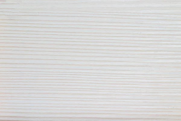 Bella Struttura Dell Albero Legno Sfondo Bianco Angelicue — Foto Stock