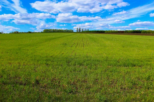 Landschaftlich Schöne Landschaft Der Grünen Hügellandschaft Frühling — Stockfoto