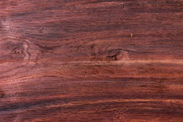 Schöne Scheibentextur Aus Natürlich Lackiertem Holz Hintergrund — Stockfoto