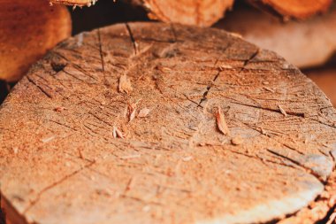 Yakacak odun yığını. Köyde zaman geçirmek. Dilimlenmiş odun Kesilmiş odunların arka planı