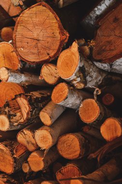 Yakacak odun yığını. Köyde zaman geçirmek. Dilimlenmiş odun Kesilmiş odunların arka planı