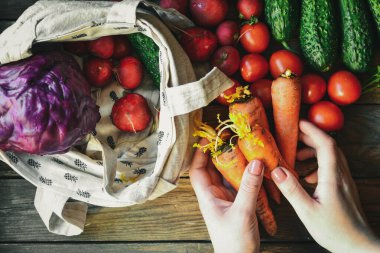 Turp, domates, salatalık, havuç, kırmızı lahana. Ahşap arka. Üst Manzara. Ellerini çerçeveye koy. Kadının elinde sebze var..