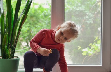 Küçük tatlı kız pencere pervazında oturuyor. Karantina sırasında kendini izole eden bir bebek. 3 yaşında bir çocuk, pencere eşiğinde bir bitkiyle oturuyor..