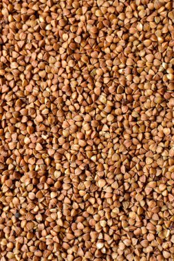 Karabuğday dokusu. Çiğ karabuğday yakın plan