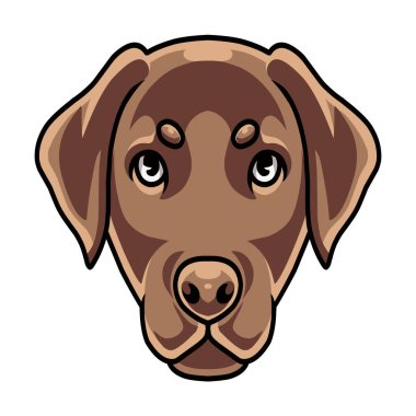 Köpek kafası maskot logosu tasarımı