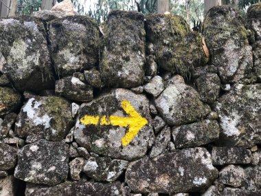 Sarı Camino de Santiago Oku yolu gösteriyor
