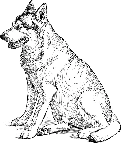 Boceto de un perro esperando — Vector de stock