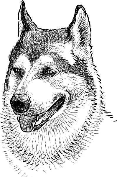 Retrato de un perro guardián — Archivo Imágenes Vectoriales
