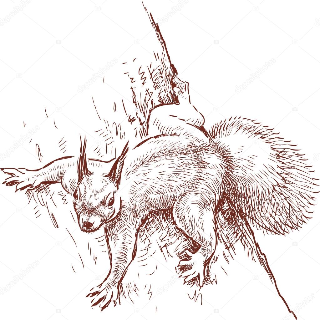 Dziki Wiewiórka W Lesie Grafika Wektorowa Alekseimakarov