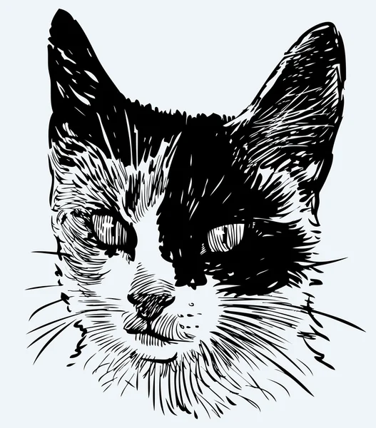 Benekli kedi yavrusu başkanı — Stok fotoğraf