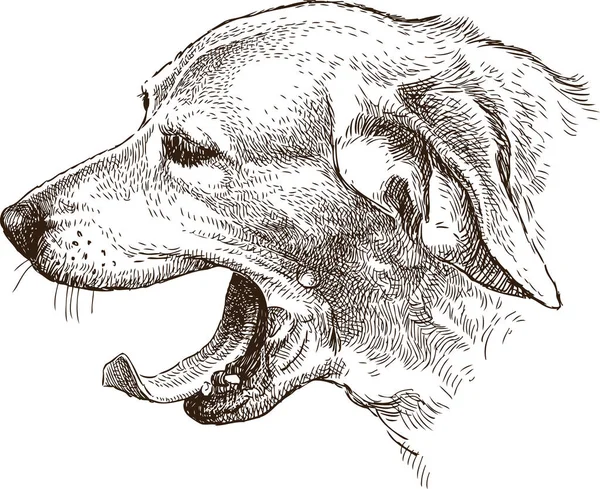 The sketch of the head of the yawning dog — Stock Vector