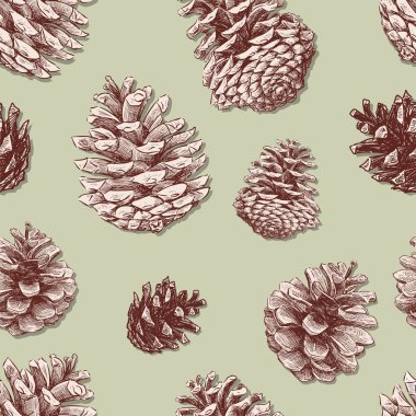 çam kozalakları paterni