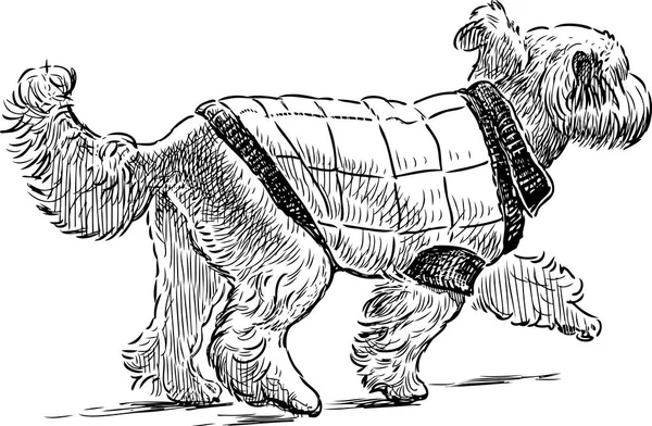 Ескіз крокуючої собаки на колінах — стоковий вектор
