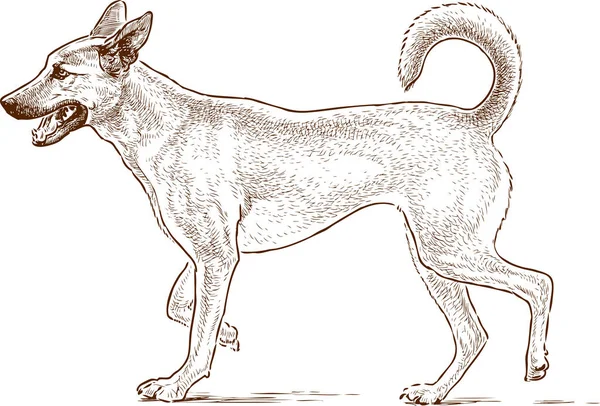 Croquis d'un chien de garde — Image vectorielle