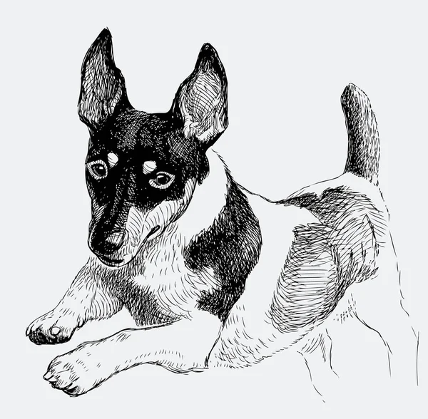 Croquis d'un chien sauteur — Image vectorielle