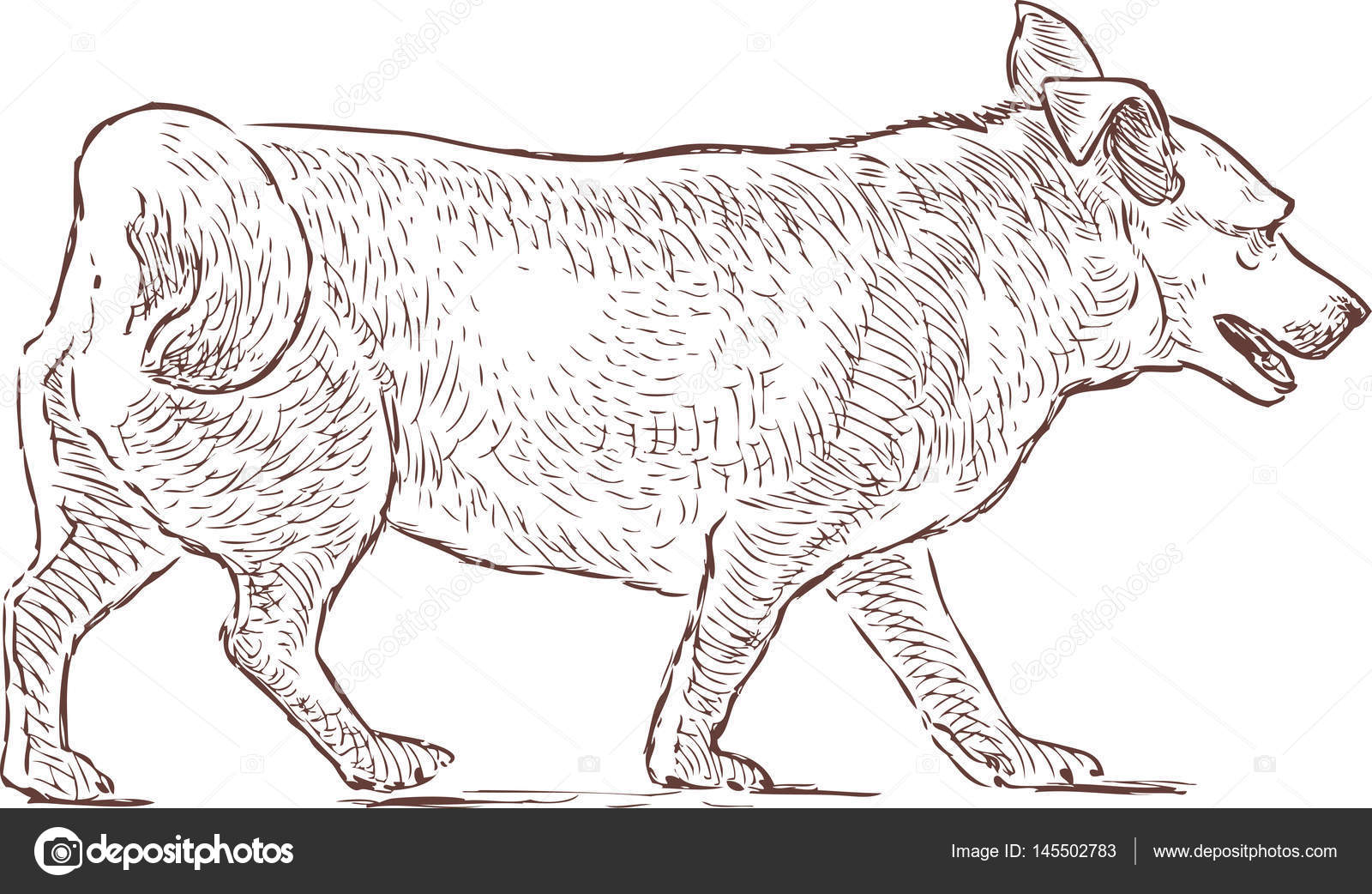 Mały Pies Na Spacerze Grafika Wektorowa Alekseimakarov