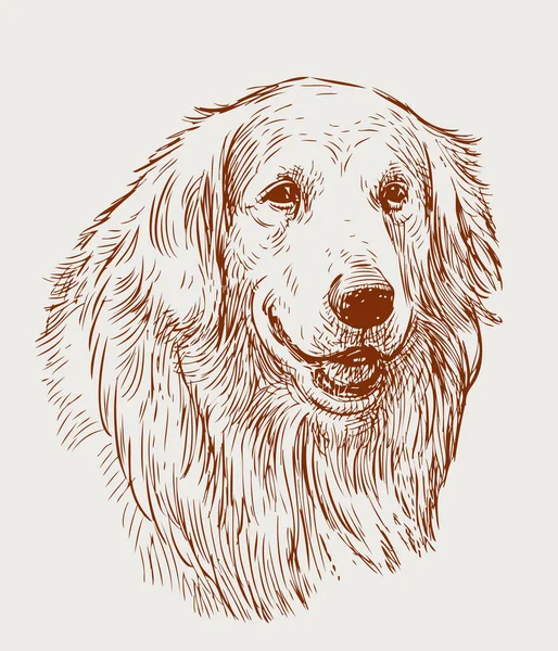 Bir av köpeği portresi kroki — Stok Vektör