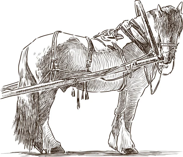 Skizze eines eingespannten Arbeitspferdes — Stockvektor