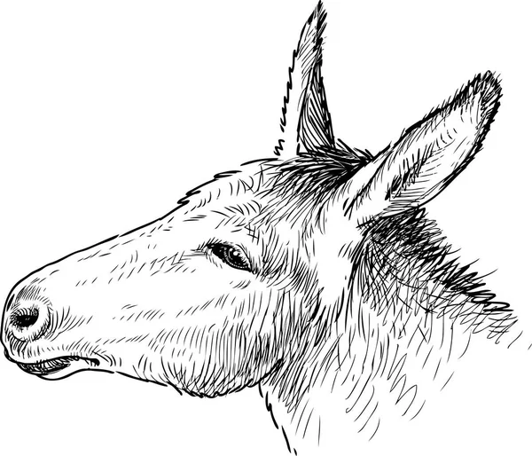 La cabeza de un burro triste — Vector de stock