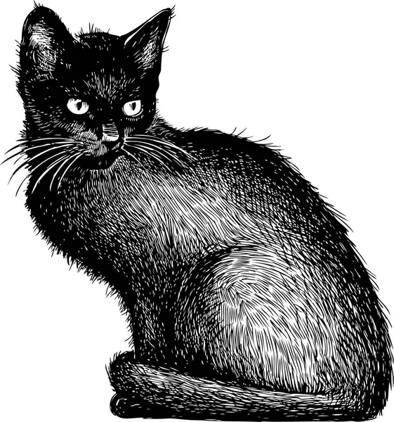 Boceto de un gatito negro — Vector de stock