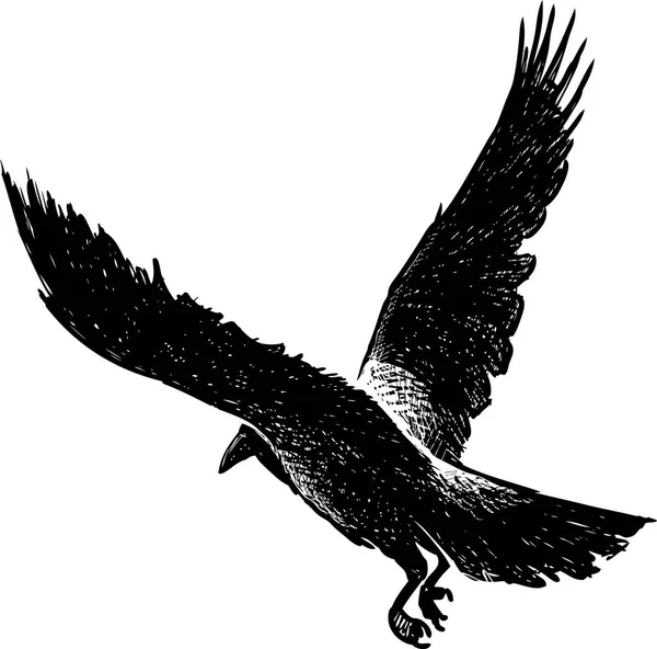 Cuervo Negro Vuelo — Archivo Imágenes Vectoriales