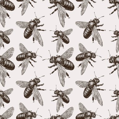 Sorunsuz arka planını bumblebees