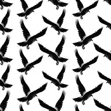 Kargalar uçuş desen