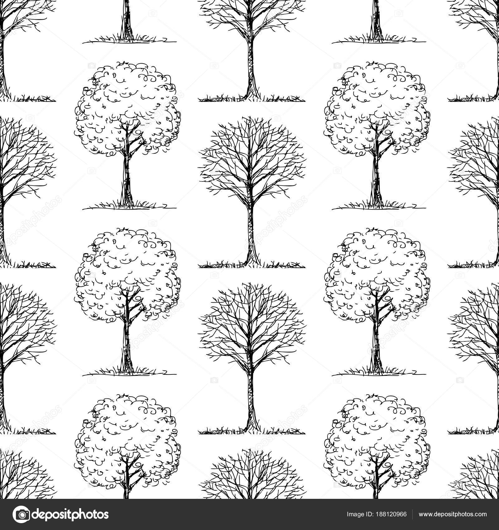 Pattern Deciduous Trees Sketches Vector Image By C Alekseimakarov Vector Stock