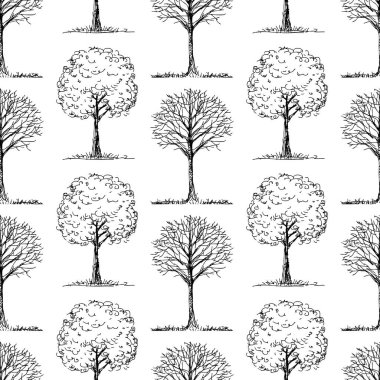 Yaprak döken ağaçların çizimler ve desen