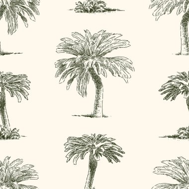 desen ve tropikal palmiye ağaçlarının