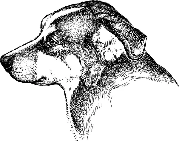 Sketch Portrait Sad Dog — Stock Vector