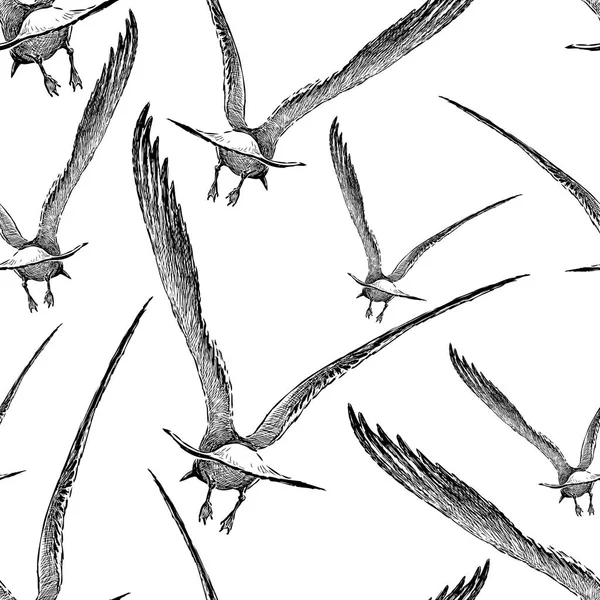 Motif Des Mouettes Qui Envolent — Image vectorielle