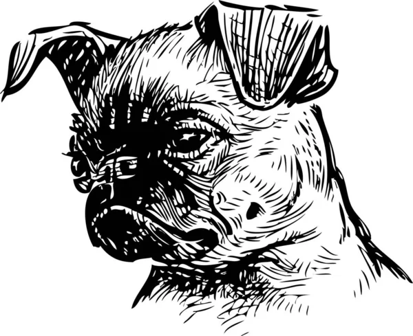 Croquis Portrait Chien Tristes Genoux Mignon — Image vectorielle